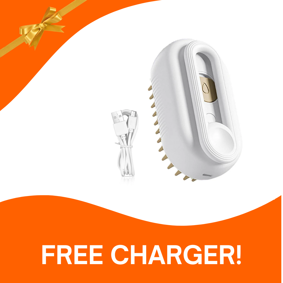 Steam Brush 3 in 1© Buy 1, Get 2!