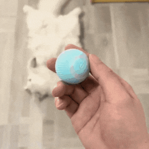 Gravity Ball