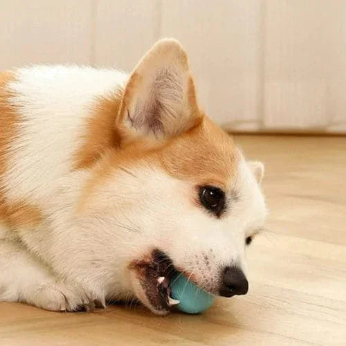 Gravity Ball